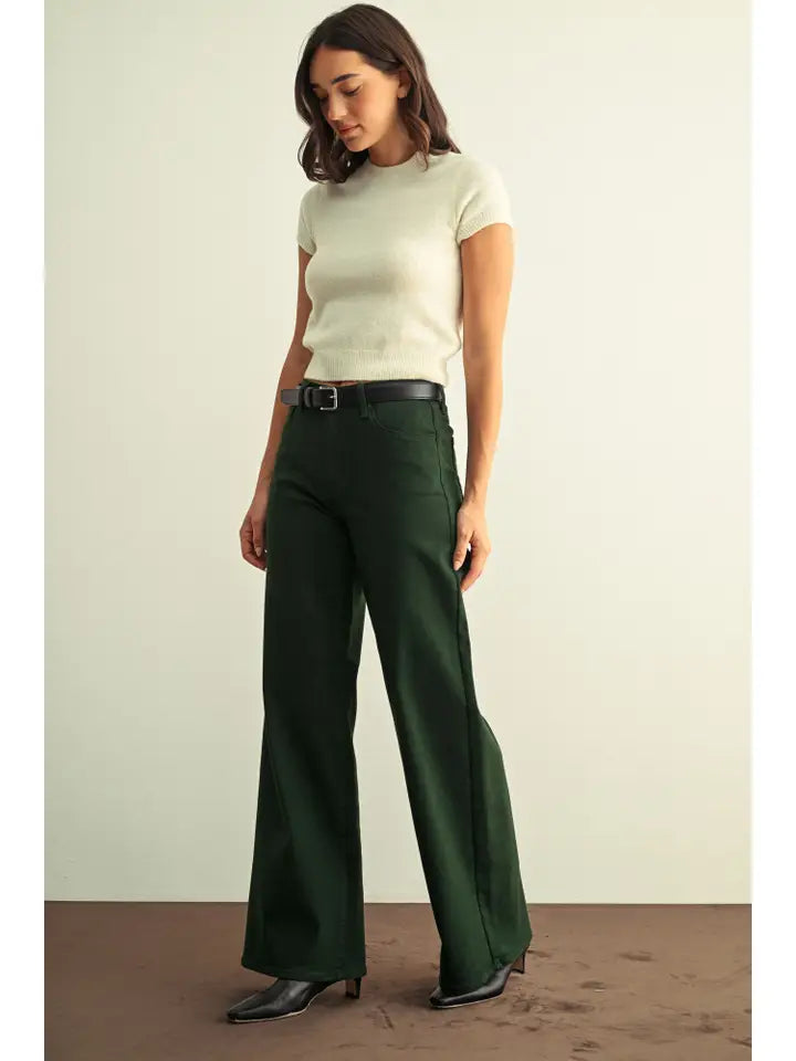 Huntley High Rise Stretchy Wide Leg