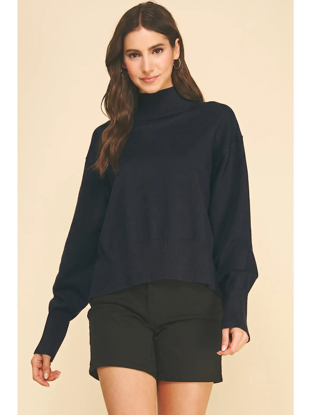 Evelyn Hi-Lo Turtle Neck Sweater