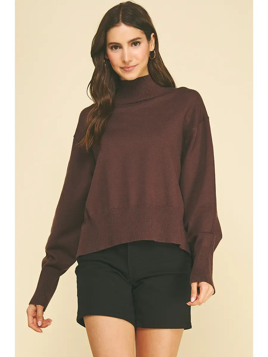 Evelyn Hi-Lo Turtle Neck Sweater