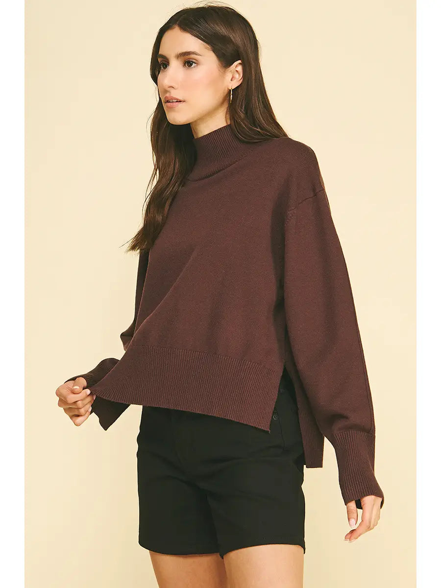 Evelyn Hi-Lo Turtle Neck Sweater