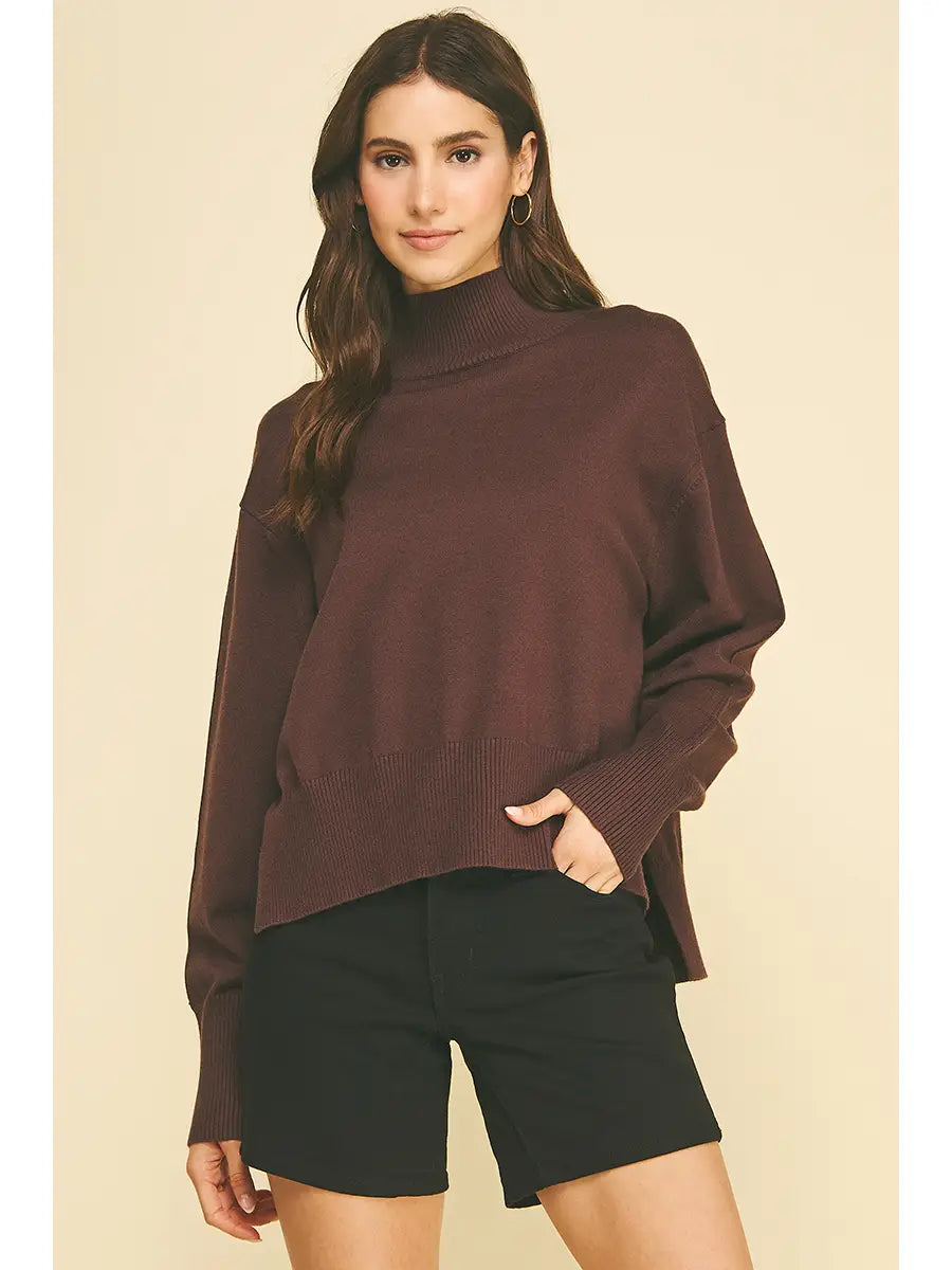 Evelyn Hi-Lo Turtle Neck Sweater